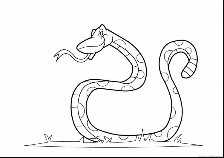 Раскраска змея для детей 2-3 лет