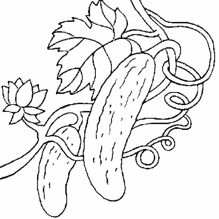 Раскраски овощей и фруктов