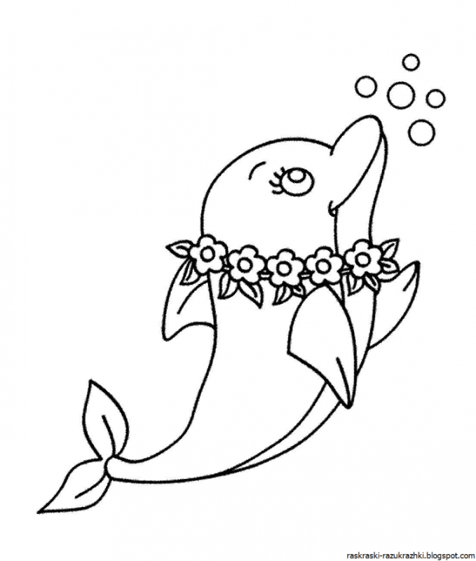 Раскраски дельфины милые