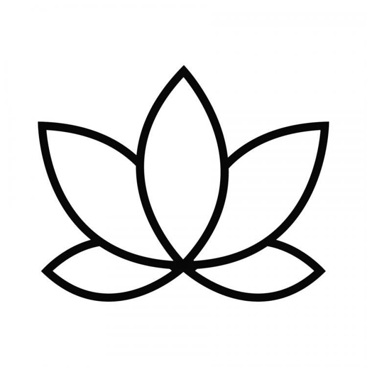 Лилия поэтапное рисование