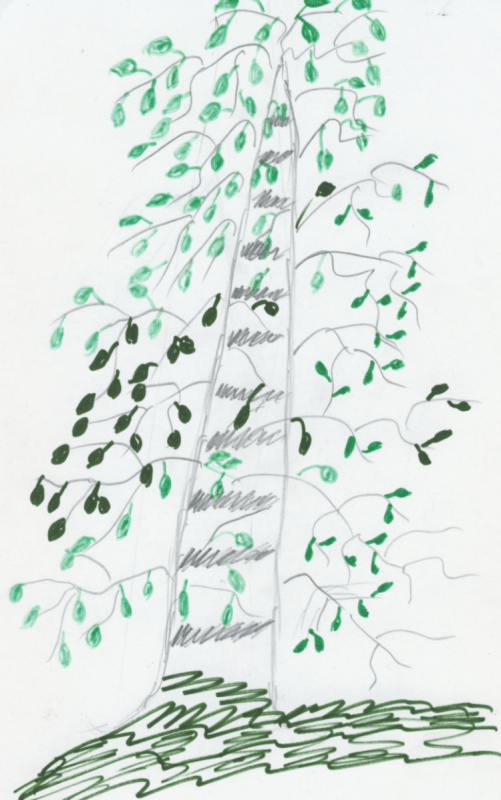 Раскраска скворечник на дереве