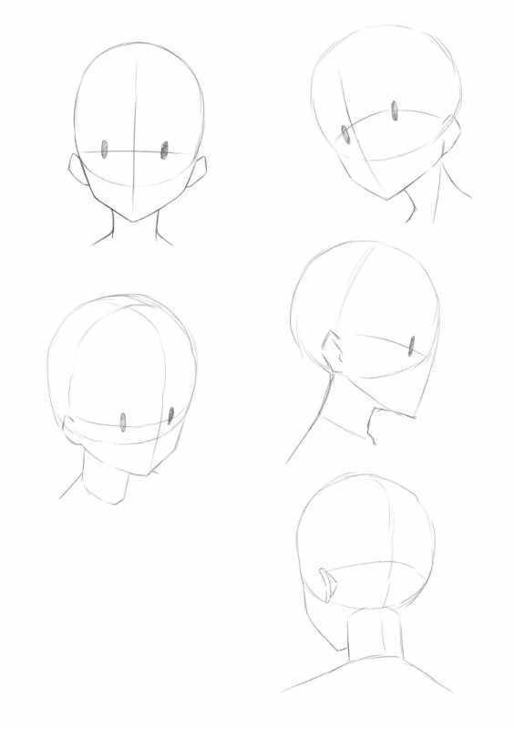 Строение аниме головы