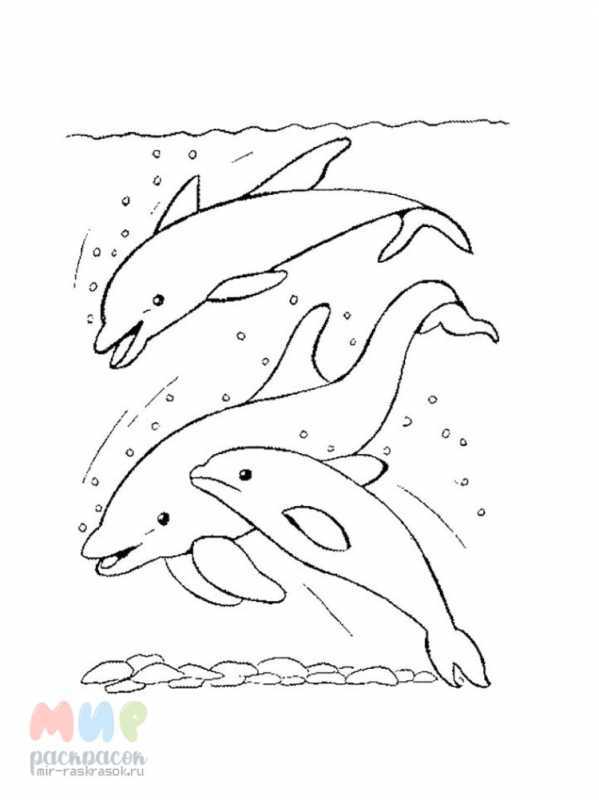 Дельфины для разрисовки