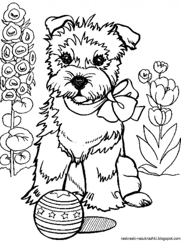 Кокер спаниель леди и Бродяга