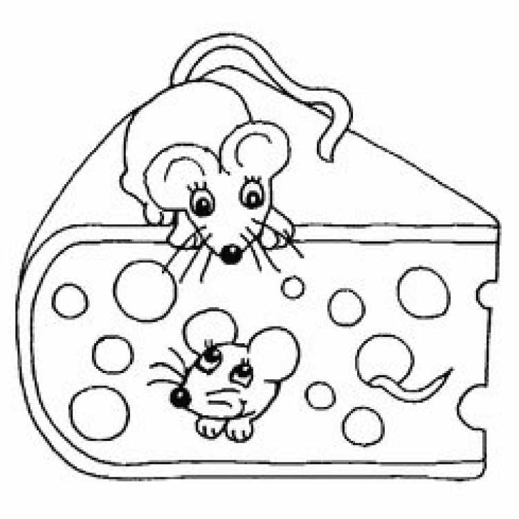 Хомячок раскраска для детей