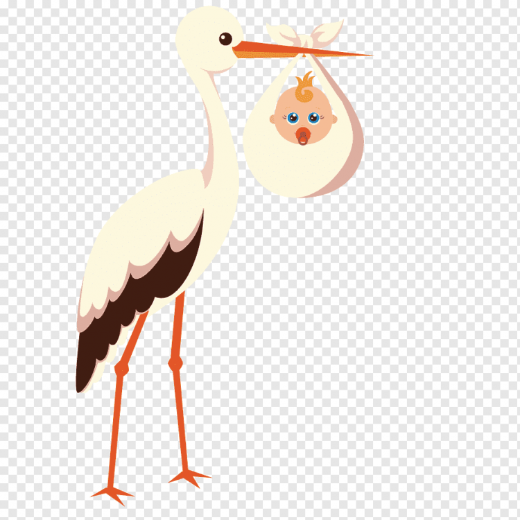 Аист раскраска для детей