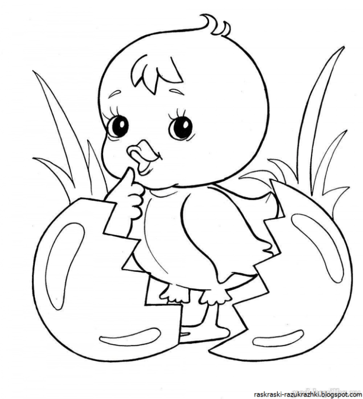 Цыпленок. Раскраски