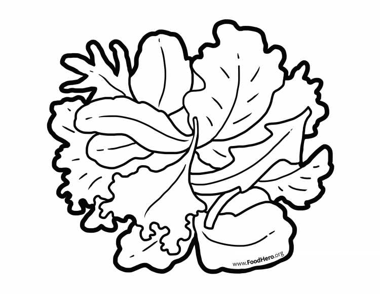 Книжка раскраска