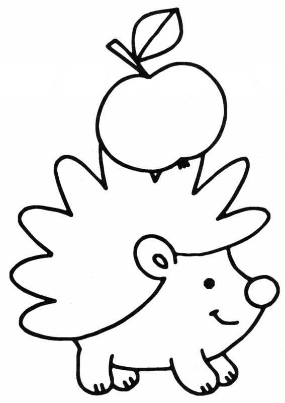 Раскраска Ежик учитель