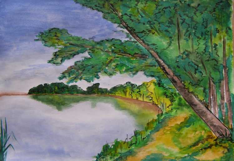 Природный пейзаж рисунок