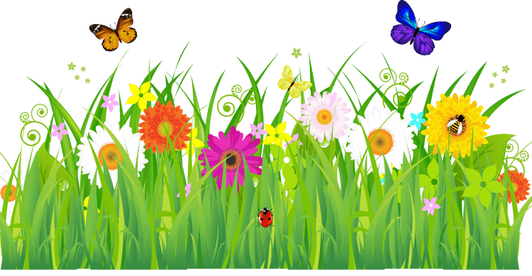 Цветочная Поляна мультяшная