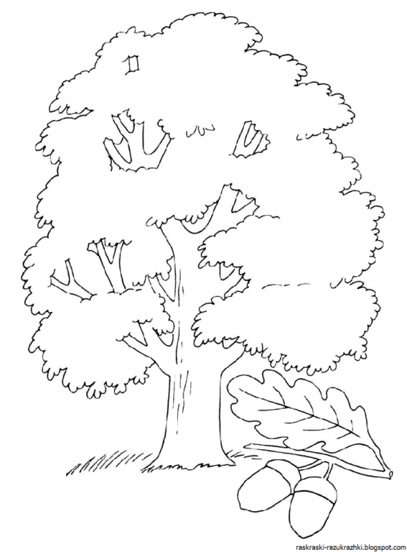 Дерево раскраска