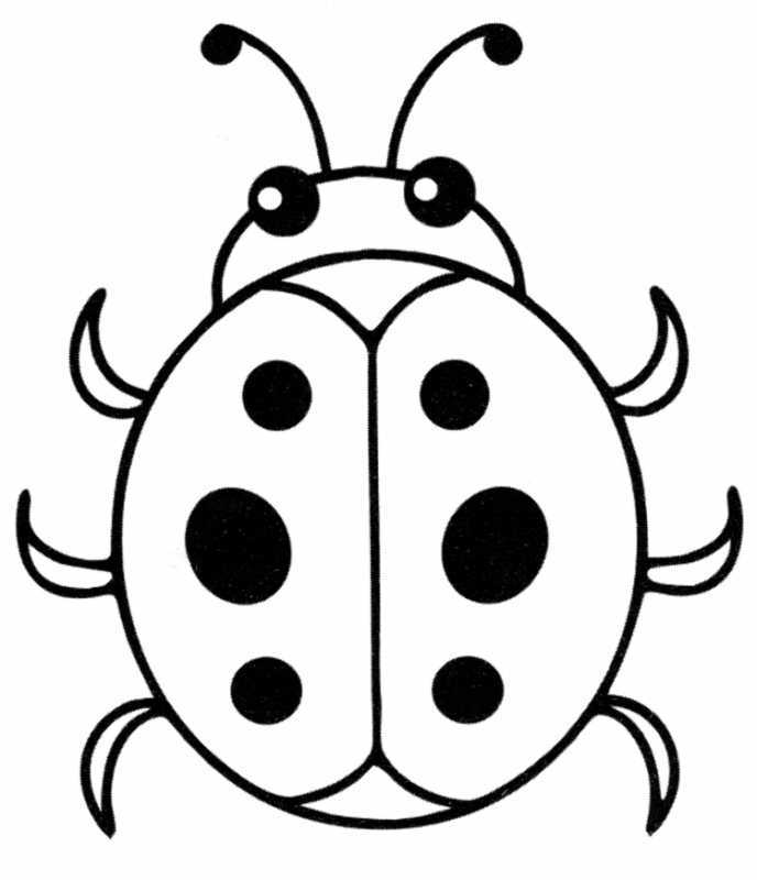 Божья коровка раскраска