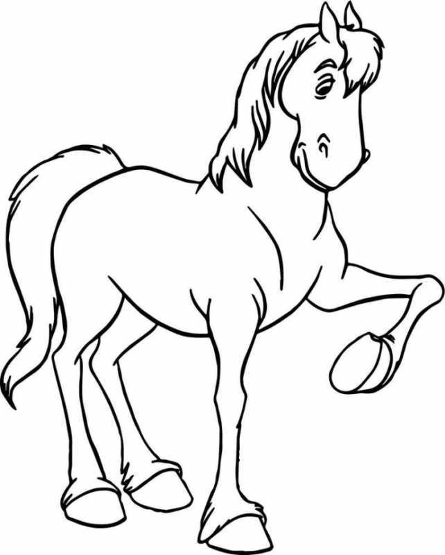 Раскраска. Лошадка