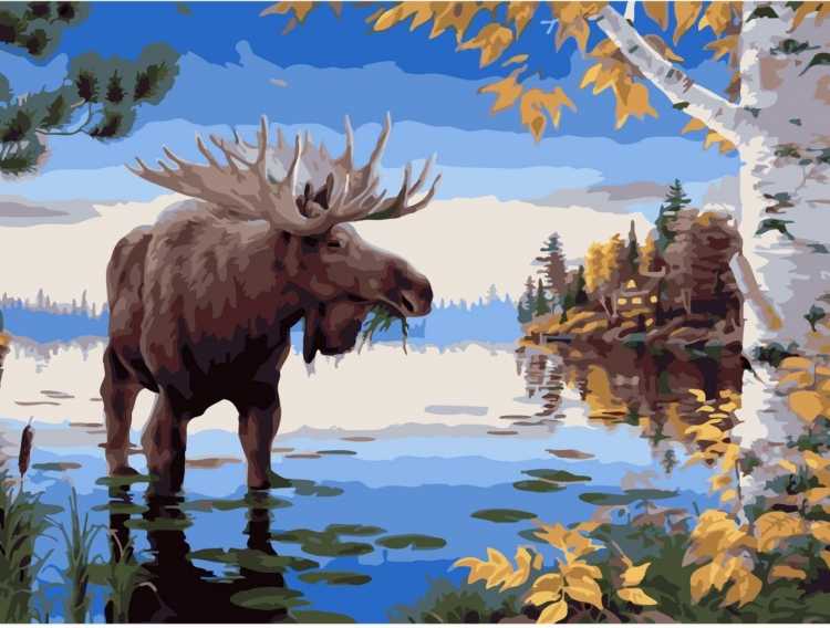 Марк Китли Лось