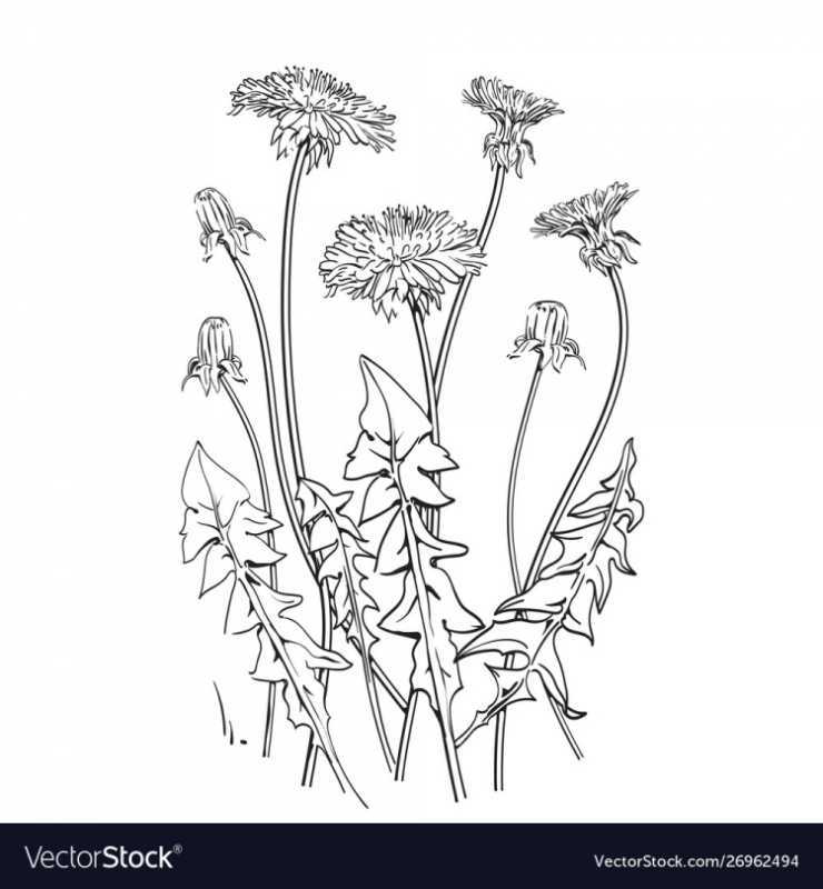 Памятник одуванчику