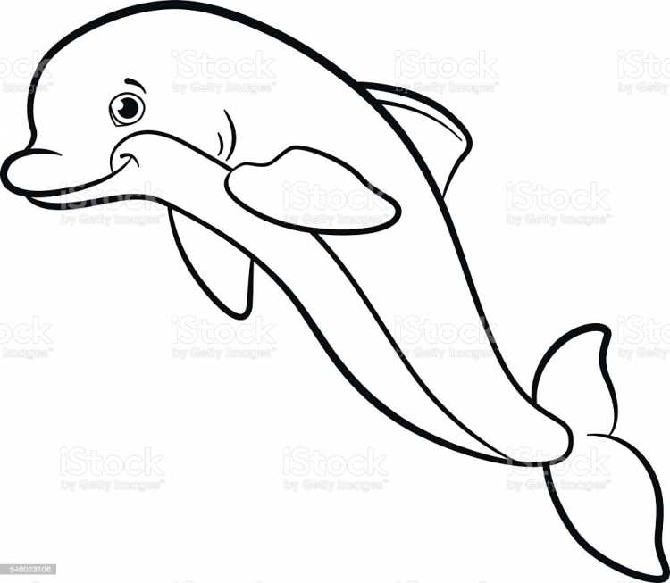 Раскраска "дельфины"