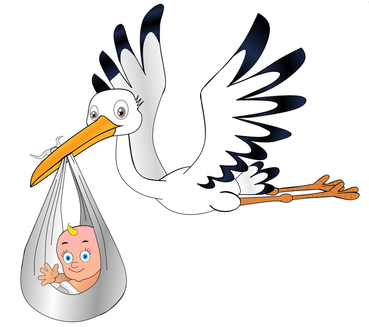 Аисты мультяшные