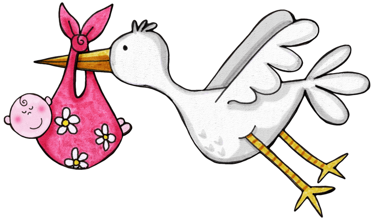 Черный Аист раскраска