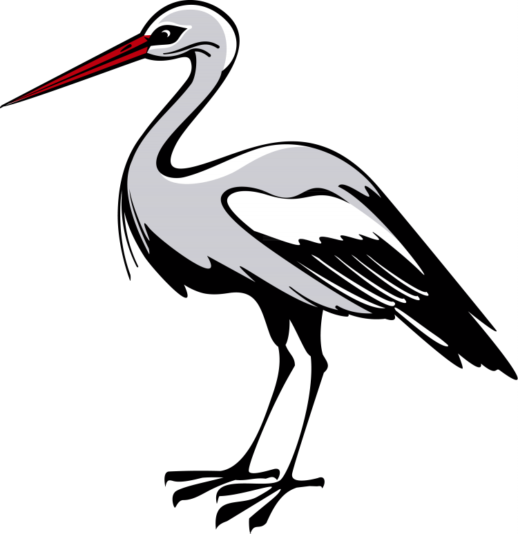 Аист несёт младенца