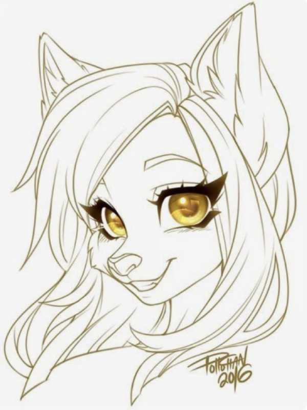 Фурри для срисовки карандашом