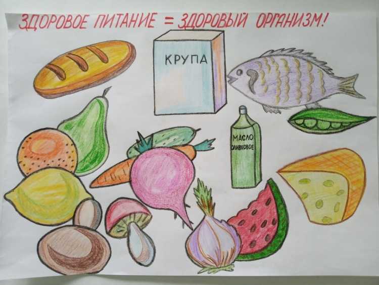 Азбука полезных продуктов рисунок