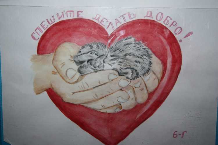 Милосердие рисунок