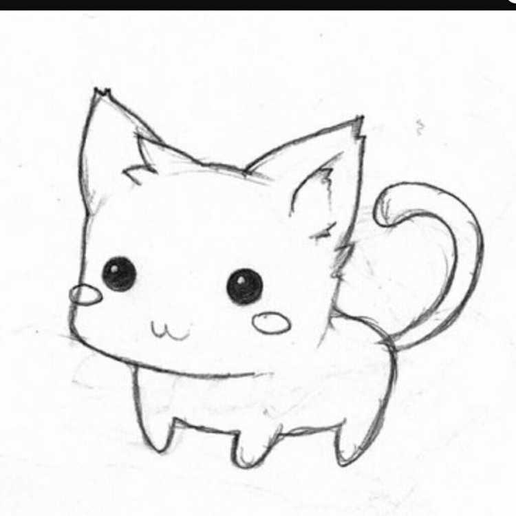 Котики для срисовки простые