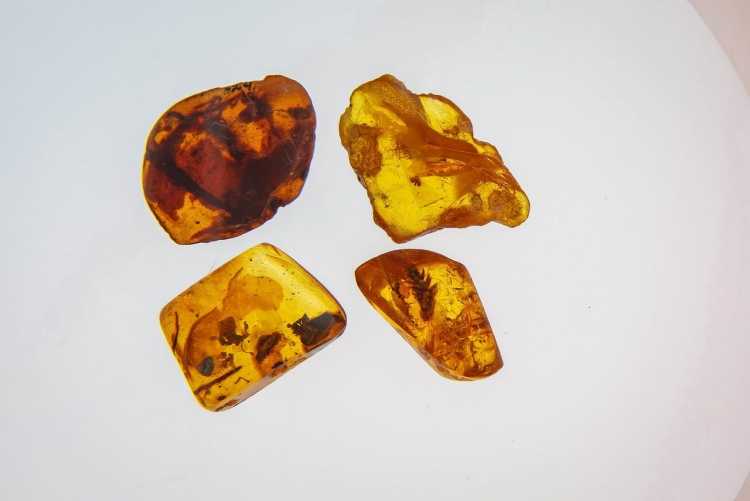 Я люблю тебя жизнь рисунки детей