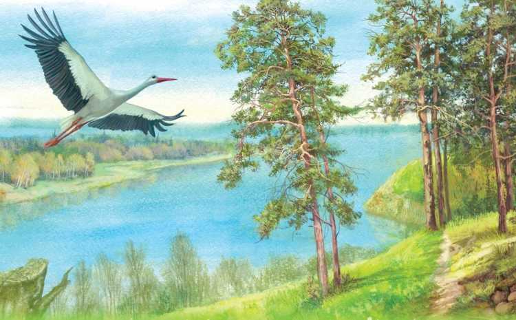 Моя Беларусь