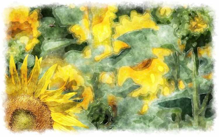 Размытый пейзаж акварелью