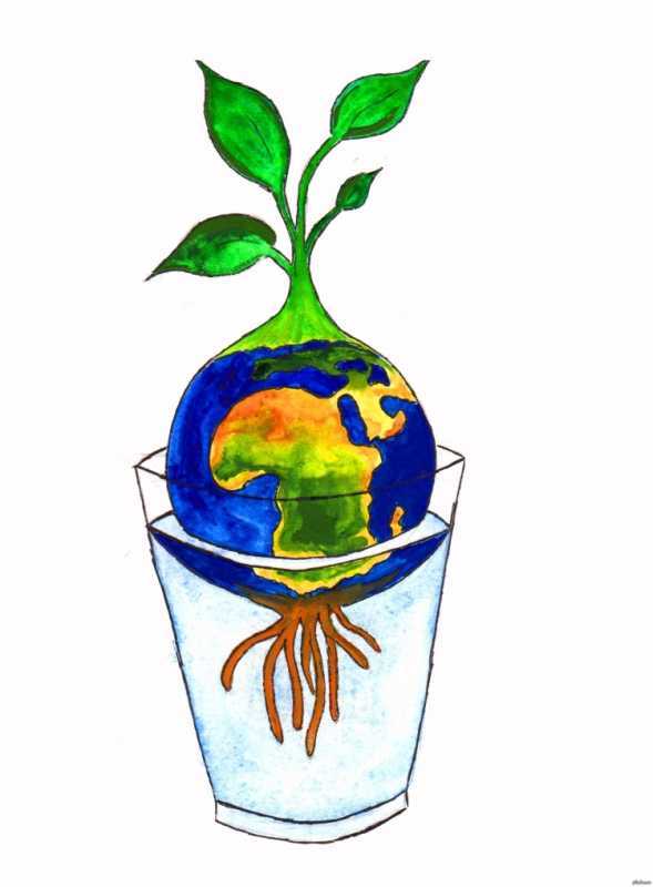 Биологические зарисовки