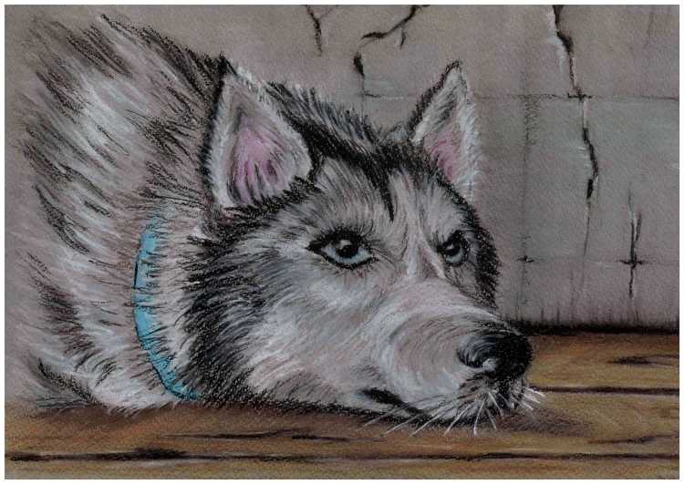 Рисуем масляной пастелью