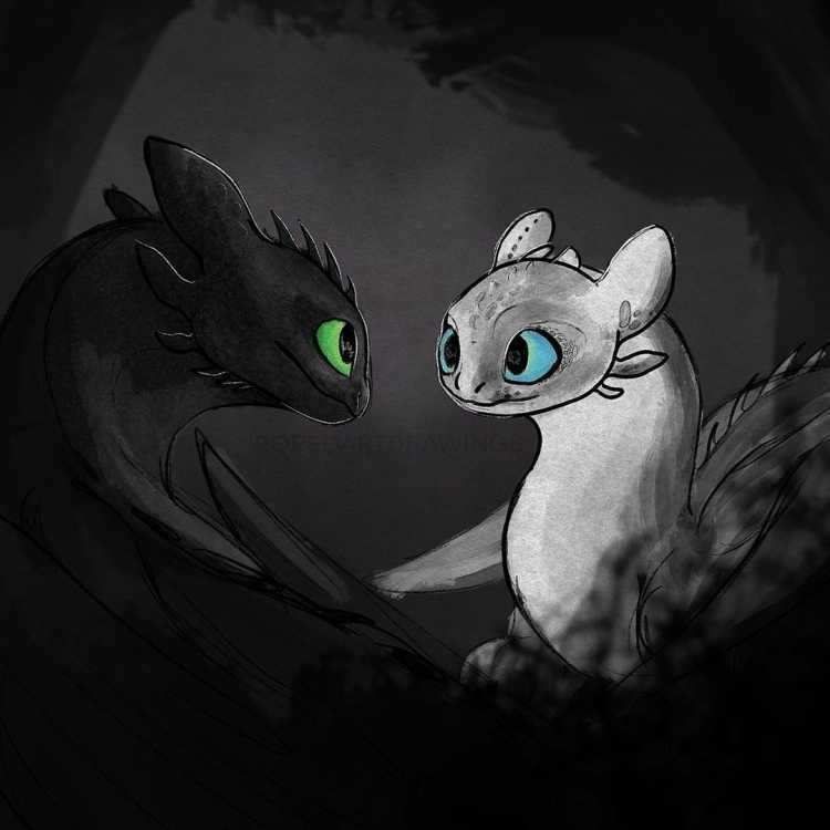 Крылья дракона ночной фурии