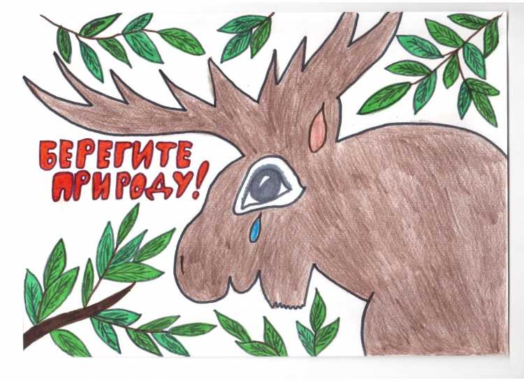 Рисунок берегите природу