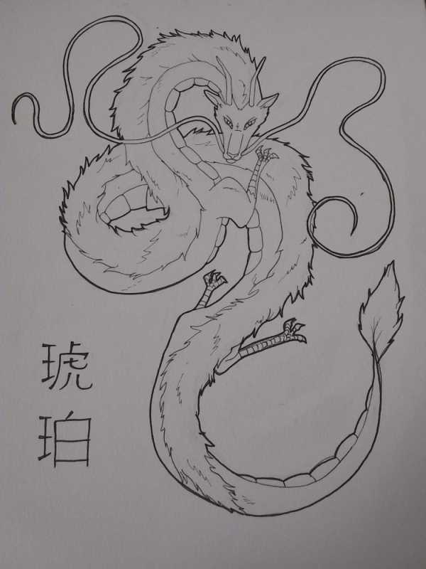 Хаку Унесенные призраками дракон скетч