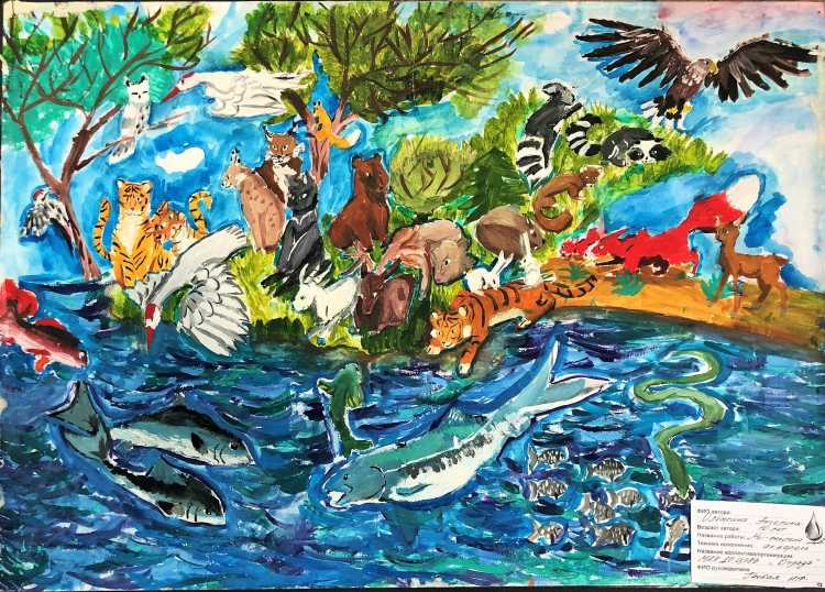 Рисунок вода богатство