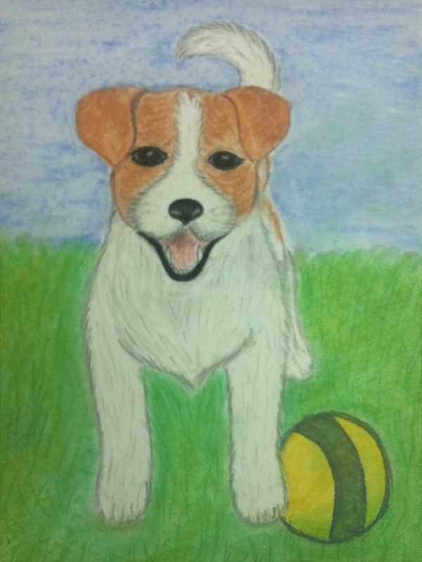 Рисункиина свободную тему