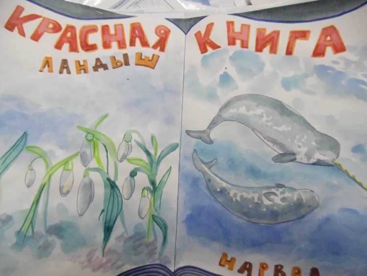 Красная книга глазами детей конкурс