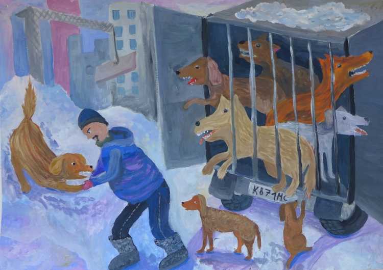 Конкурс бездомные животные