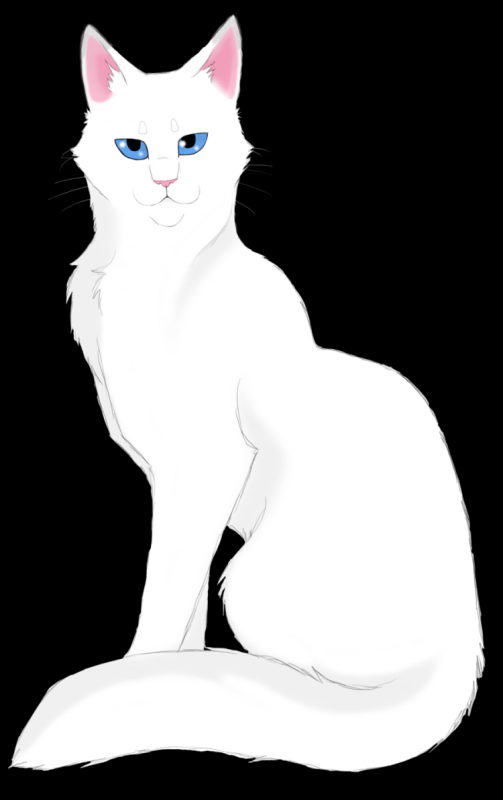 Коты Воители Белолапка