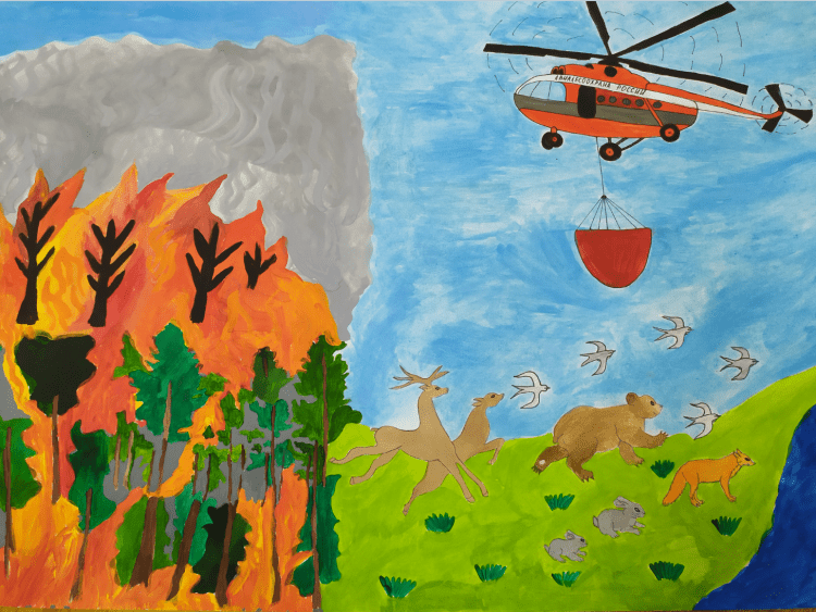 Авиалесоохрана на страже лесов