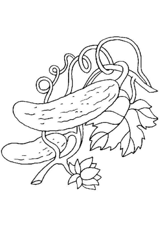 Раскраска. Овощи.