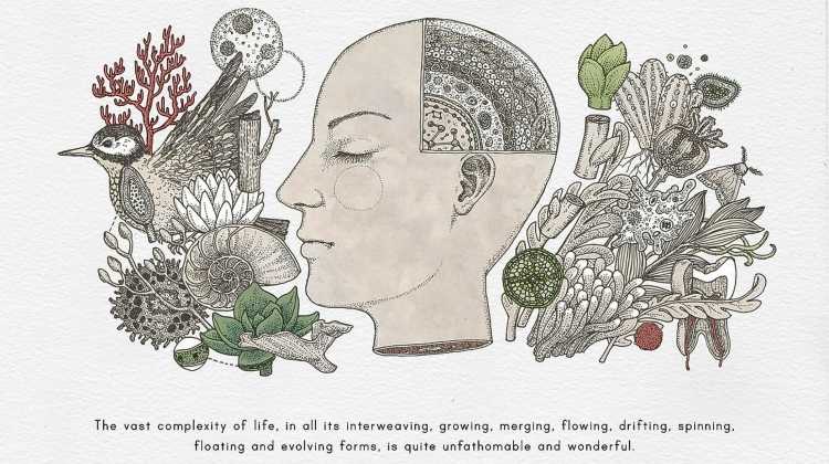 Биология паттерн