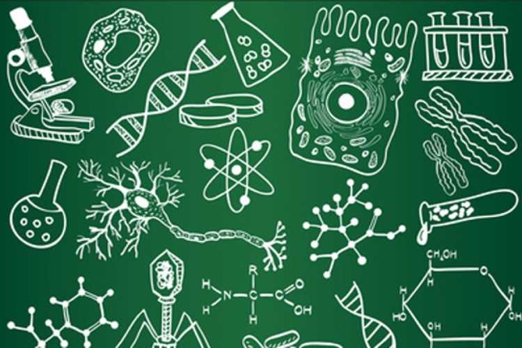 Экологический плакат