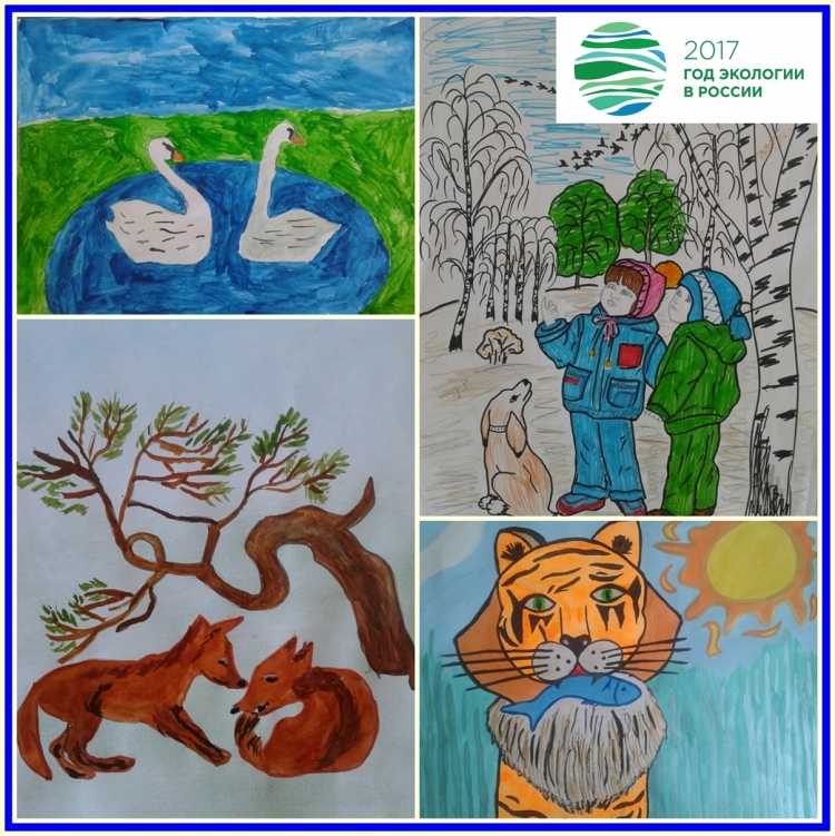 Экология защита животных