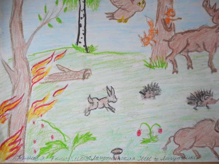 Рисунок на тему лес