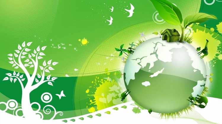 Растительная клетка цитология