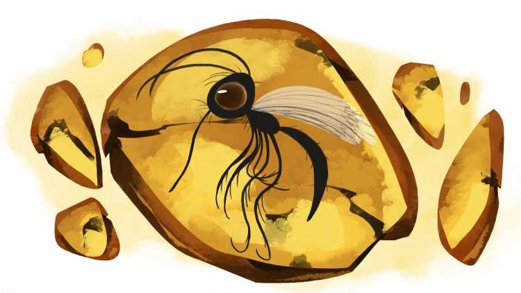 Детский рисунок янтарь