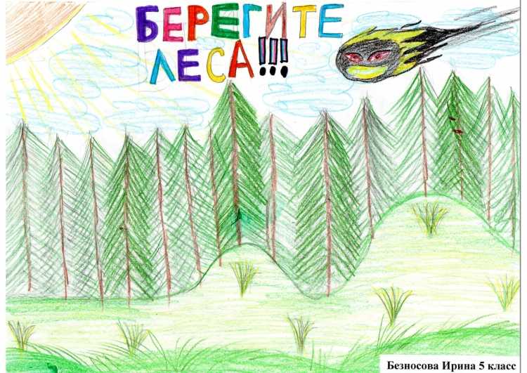 Плакат лес наше богатство